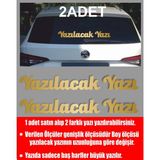 Sticker Usta Kişiye Özel Yazı 2 Adet Isim Soyisim Sticker 00096 - Altın - 12 Cm