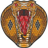 Sticker Usta Kobra Yılanı Sticker 00290 Renkli 14 x 14 cm