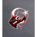 Sticker Usta Kurt Gökbörü Ay Yıldız Bayrak Sticker - 00316 Renkli 10x9 Cm