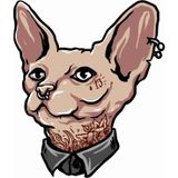 Sticker Usta Piercing Kedi Araba Oto Motosiklet Karavan Sticker 00451 - 80x68 Cm - Renkli