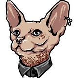 Sticker Usta Sfenks Kedi Sticker 00451 Renkli 14 x 12 cm