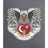 Sticker Usta Silahlı Kartal Turkish Army Sticker Araba 02148 Renkli 50x47 Cm