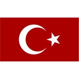 Sticker Usta Türk Bayrağı Ay Yıldız Bayrak Araba Oto Motosiklet Karavan Sticker 00068 - 40x22 Cm - Renkli