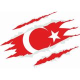 Sticker Usta Türk Bayrağı Sticker - 20184 Renkli 40 x 27 cm