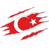 Sticker Usta Türk Bayrağı Sticker - 20184 Renkli 60x44 Cm