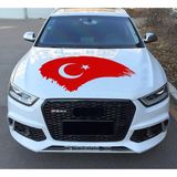 Sticker Usta Türk Bayrağı Sticker, Ay Yıldız, Türkiye, 00786 Kırmızı 12x6 Cm