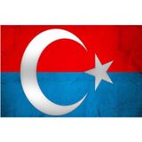 Sticker Usta Türk Bayrağı ve Doğu Türkistan Bayrağı Sticker 00340 Renkli 20x13 Cm 70 x 46 cm