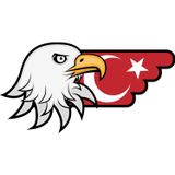 Sticker Usta Türk Bayrağı ve Kartal Sticker 00727 Renkli 24 x 12 cm