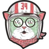 Sticker Usta Vespa Kedi Sticker 00278 Renkli 7 x 8 cm