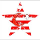 Sticker Usta Yıldızlı Türk Bayrağı Sticker 00923 Beyaz - Kırmızı 12 x 12 cm