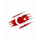 Sticker Usta Yırtıklı Türk Bayrağı Pençe Sticker 00034 Renkli 20x14 Cm