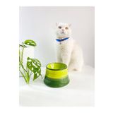 stilinbu Seramik Kedi Ve Köpek Mama Su Kabı Colorful Moon Bowl (YEŞİL-FISTIK YEŞİL)