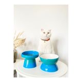 stilinbu Seramik Kedi ve Köpek Mama Su Kabı Luna-Ayaklı model 2'Lİ (TURKUAZ)