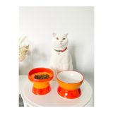 stilinbu Seramik Kedi ve Köpek Mama Su Kabı Luna-Ayaklı Model 2'Lİ(TURUNCU)