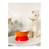stilinbu Seramik Kedi ve Köpek Mama Su Kabı Luna Model (TURUNCU-SARI)
