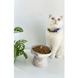 stilinbu Seramik Kedi Ve Köpek Mama Su Kabı (mavi Beyaz-ebru Desen-m2)