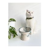 stilinbu Seramik Kedi Ve Köpek Mama Su Kabı (yeşil Çizgili-ebru Desen-m2)