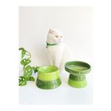 stilinbu Seramik Kedi Ve Köpek Mama Su Kabı (YEŞİL & COLORFUL MOON YEŞİL- GÖKKUŞAĞI- 2'Lİ)