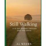 Still Walking: A 15-Day Journey Through Grief and Grace (The Soul in Stillness Series)