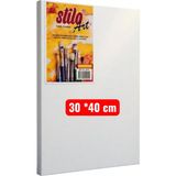 Stilo Art Canvas 30X40 cm Tuval - Beyaz