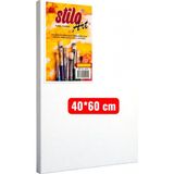 Stilo Art Canvas 50X60 cm Tuval - 50*60 cm - Beyaz