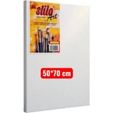 Stilo Art Canvas 50X70 cm Tuval - Beyaz