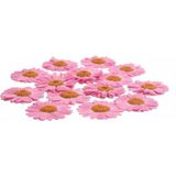 Stonechem 20 Adet Preslenmiş Kurutulmuş Pembe Papatya – Epoksi Reçine, Kolye ve Takı Yapımı İçin Doğal Dekoratif Çiçek Seti (Gerçek Kurutulmuş Çiçek)