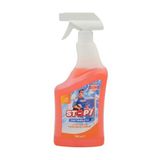 STOP Forte Cam Temizleyici Sprey 750 ml