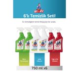 STOP Forte Zorlu Leke Seti 6 x 750 ML Leke, Derz,Yağ,Kir Temizleyici