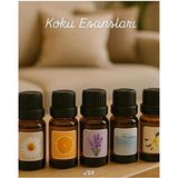 Store 1 10 ml Banyo Spa Hava Nemlendiricisi Buhar Makineleri Koku Esansı Rahatlatıcı Özellikler