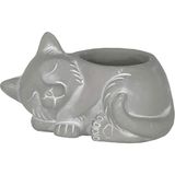 Store Classic Home And Garden Çimento Arkadaşları Drenaj Delikli Iç Mekan Dış Mekan Saksısı, Uyuyan Kedi, Doğal Gri, Küçük, 7 Inç