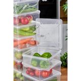 Storemax - 15'li Set Saklama Kabı, 10 Adet 500ML Dikdörtgen ve 5 Adet 2500ML Kare Şeffaf Kendinden Kapaklı Saklama Kabı, Bpa Içermez, Buzdolabı, Dondurucu ve Dolap Organizeri - 0,33 - 0 Siyah