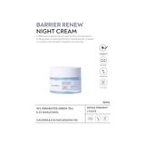 Storemax Anyong Bariyer Onarıcı, Yenileyici ve Yaşlanma Karşıtı Krem 50 ml (Yeşil Çay & Bakuchiol & Bifida)