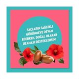 Storemax Elidor Doğanın Enerjisi Saç Bakım Şampuanı Argan Yağı & Hibiskus Özü Dökülme Karşıtı & Güçlü Uzamayı Destekleyici 400 ml