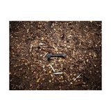 Storemax Evrensel Balta, Sağlam, Taşıma Çantası Ile, Yapışmaz Kaplama, Çelik Bıçak/cam Elyaf Takviyeli Plastik Sap, Siyah, A6, Uzunluk: 39 Cm, 652 G, 1052046 - Ahşap