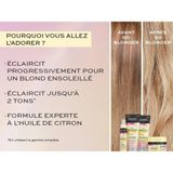 Storemax John Frieda Sheer Blonde Go Blonder Seyahat Boy Saç Kremi 75 ml - Kestane Akaju