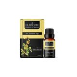 Storemax Oleocure Sarı Kantaron Yağı (St. John's Wort Oil) 20 ml