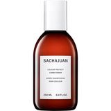 Storemax Sachajuan Colour Protect Conditioner Saç Kremi, 250 ml - Kestane Akaju