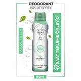 Storm Kadın Deodorant Sprey Terleme Karşıtı Vegan Fit Dry 150 Ml