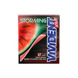 Storming Karpuz Aromalı Şerit Sakız 33 Gr
