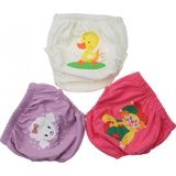 Story Baby Kız Bebek Çocuk Desenli Sevimli 3 Lü Alıştırma Külodu 035-60155-003 Renkli 2-4 Yaş