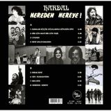 Str Store Hardal Nereden Nereye Renkli Plak, Lp Vinyl - Adaçayı Yeşili