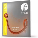 Strings Silver Series Sag 10-47 Sl Takım Tel Akustik Gitar Teli 010-047