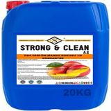 Strong & Clean Oda Parfüm Konsantre 1/8 Mango Kokulu 20 kg