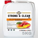Strong & Clean Oda Parfüm Konsantre 1/8 Mango Kokulu 5 kg