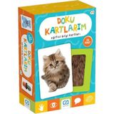 Strongart Doku Kartlarım Eğitici Bilgi Kartları - Renkli