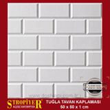 Stropiyer Tavan Duvar Kaplaması Tuğla Modeli 20 Adet = 5 M2