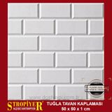 Stropiyer Tavan Duvar Kaplaması Tuğla Modeli , 40 Adet = 10 M2