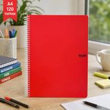 Studi A4 120 Yaprak Spiralli Defter Kırmızı – Kareli / Çizgili Okul Ders Defteri