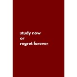 Study Now Or Regret Forever: Inspirational Notebook For Journaling Affirmations And Ideas
